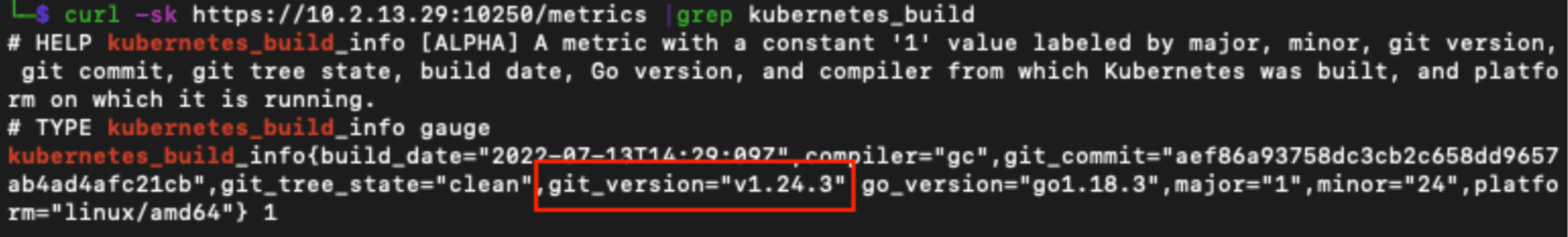 Narrowing down the output to the version information using ’grep’. 